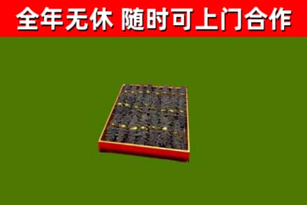 延寿县回收海参